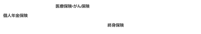 医療保険・がん保険、個人年金保険、終身保険