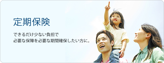 できるだけ少ない負担で必要な保障を必要な期間確保したい方に。